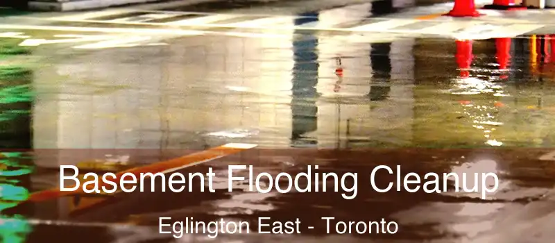 Basement Flooding Cleanup Eglington East - Toronto