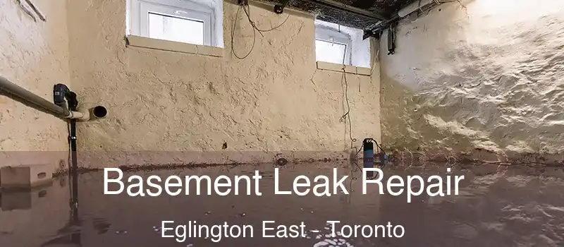 Basement Leak Repair Eglington East - Toronto