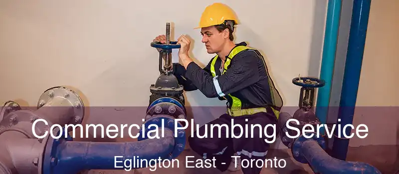 Commercial Plumbing Service Eglington East - Toronto