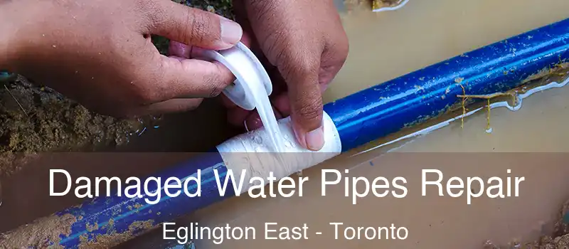 Damaged Water Pipes Repair Eglington East - Toronto