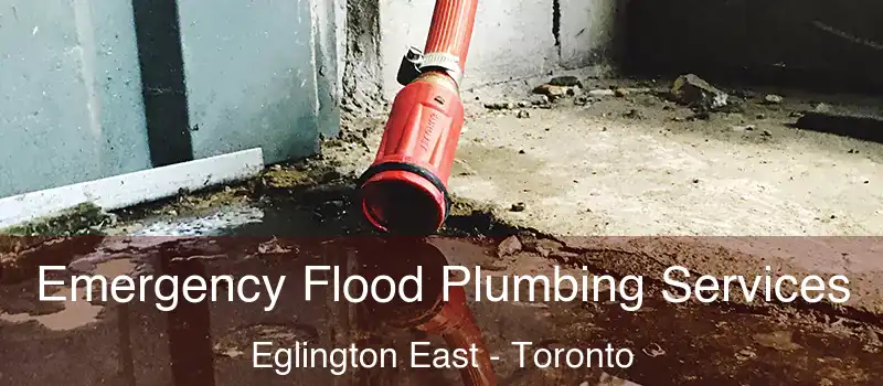  Emergency Flood Plumbing Services Eglington East - Toronto