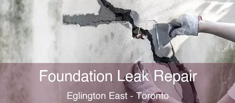 Foundation Leak Repair Eglington East - Toronto
