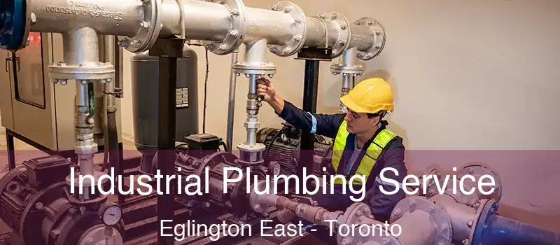  Industrial Plumbing Service Eglington East - Toronto