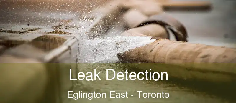 Leak Detection Eglington East - Toronto