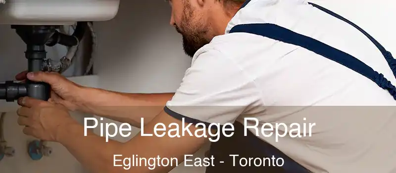Pipe Leakage Repair Eglington East - Toronto