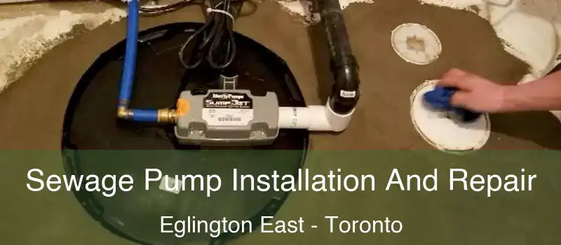 Sewage Pump Installation And Repair Eglington East - Toronto