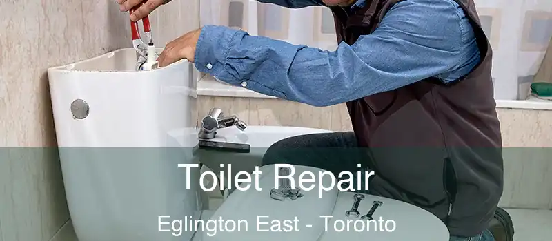  Toilet Repair Eglington East - Toronto