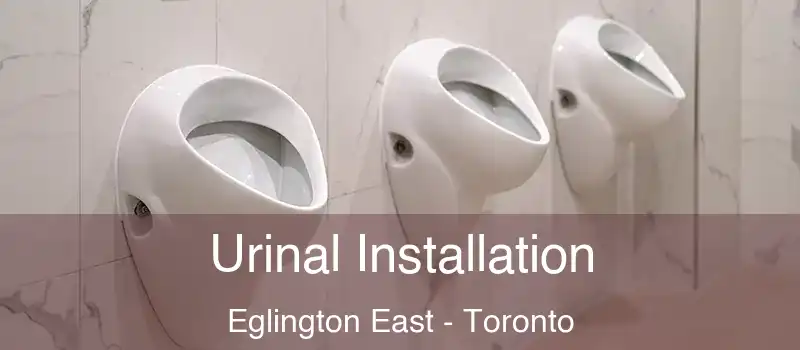 Urinal Installation Eglington East - Toronto