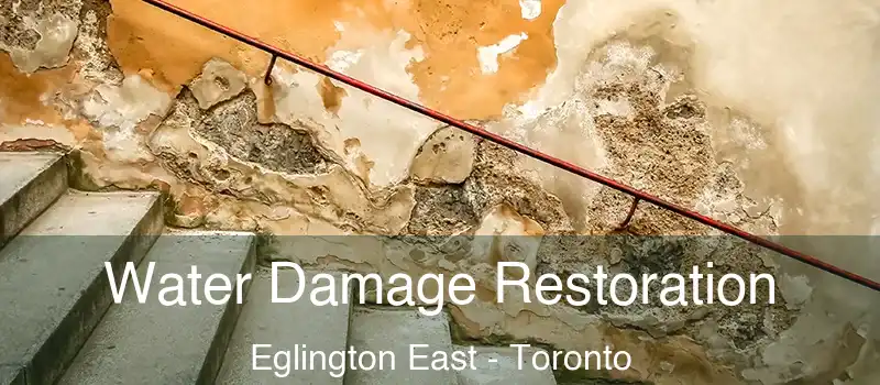  Water Damage Restoration Eglington East - Toronto