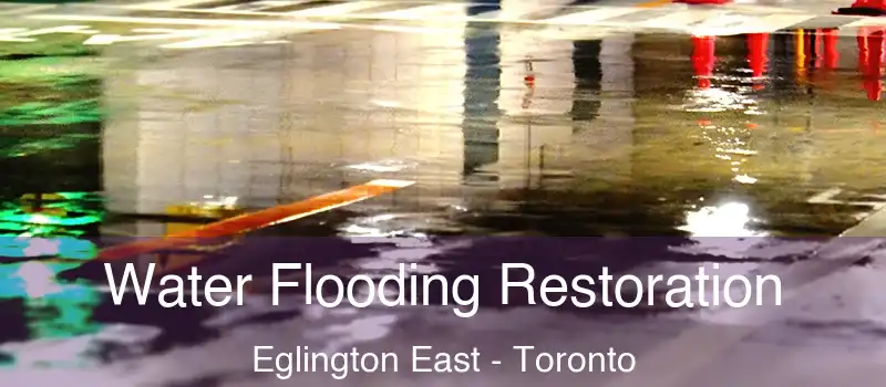 Water Flooding Restoration Eglington East - Toronto